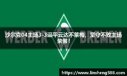 沙尔克04主场3-3逼平云达不莱梅，坚守不败主场荣誉！